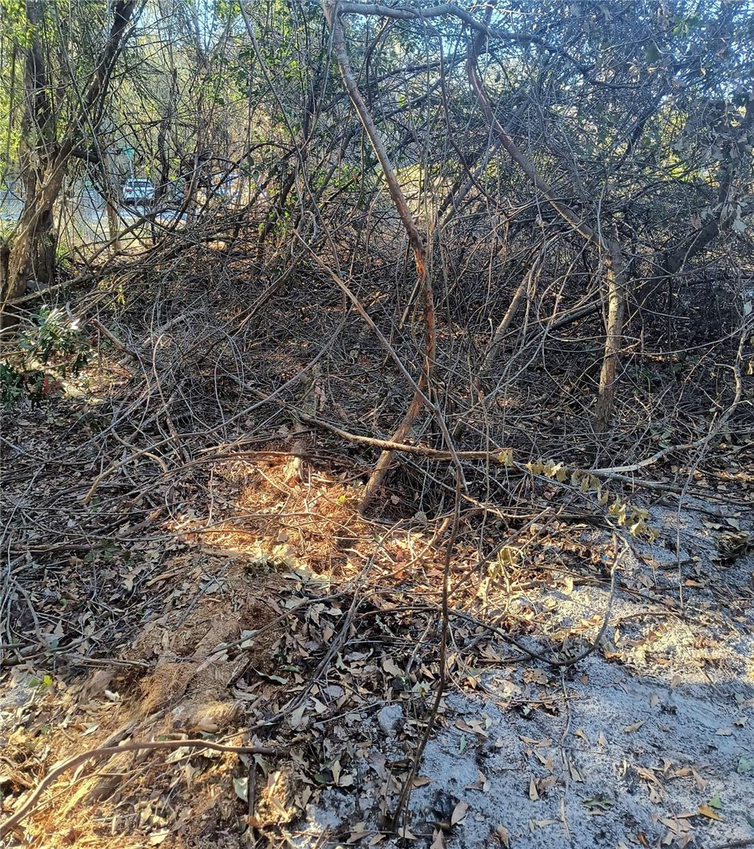 NEW GV T F THOMAS SUB - Land