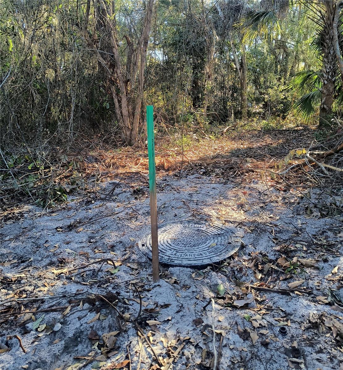 NEW GV T F THOMAS SUB - Land