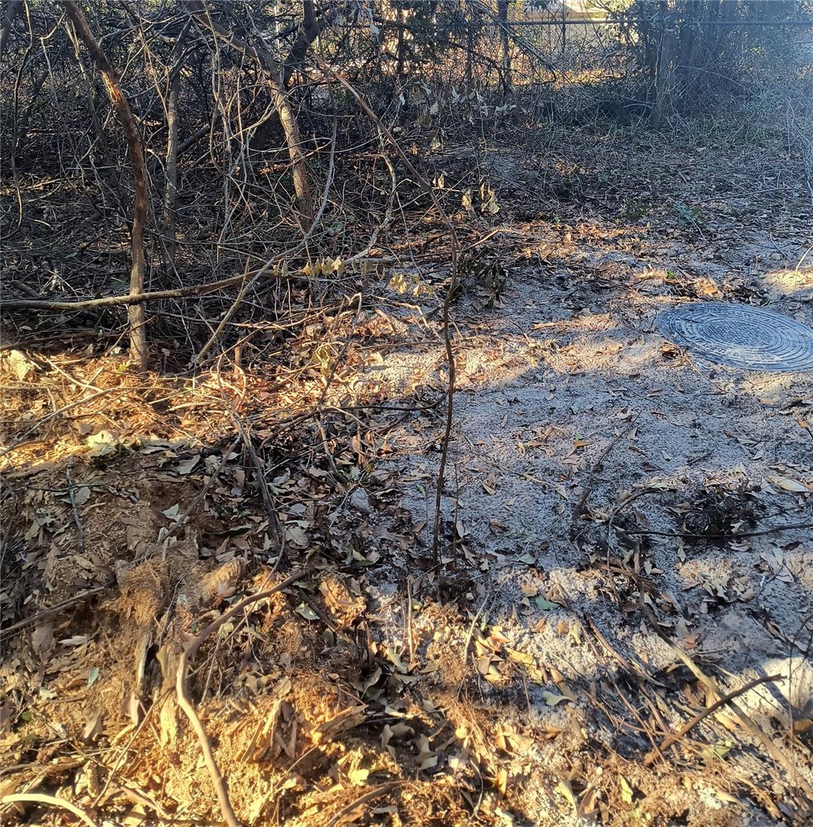 NEW GV T F THOMAS SUB - Land