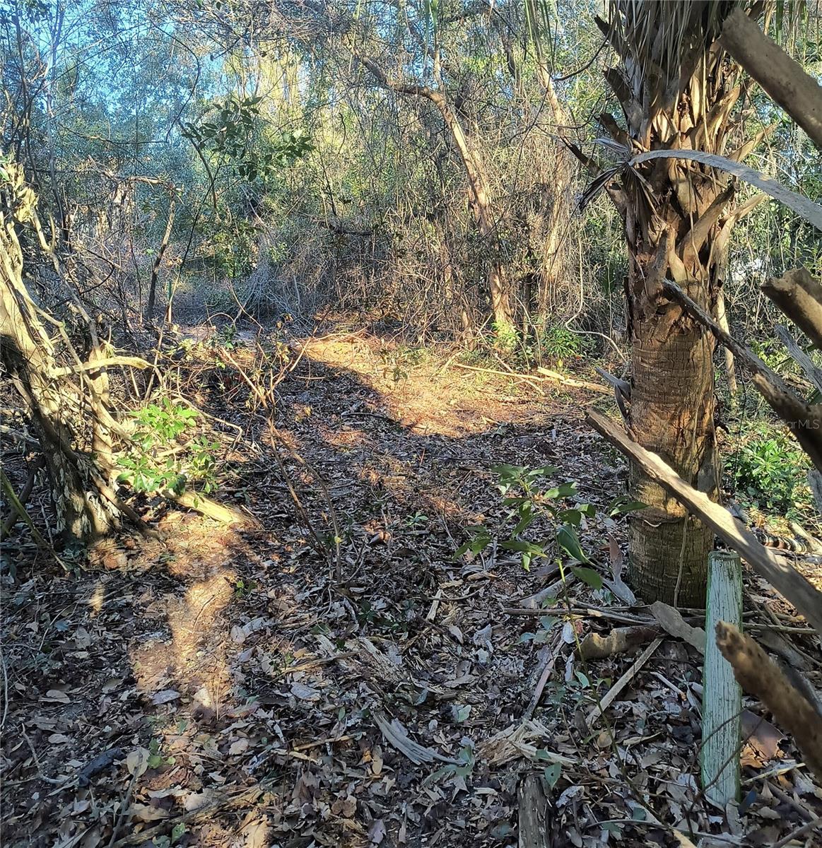 NEW GV T F THOMAS SUB - Land