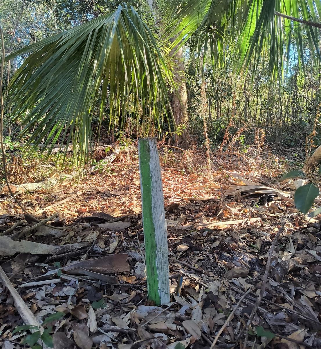 NEW GV T F THOMAS SUB - Land