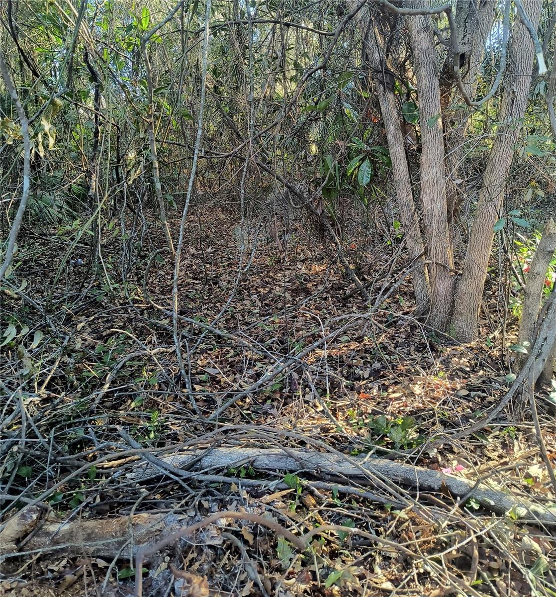 NEW GV T F THOMAS SUB - Land