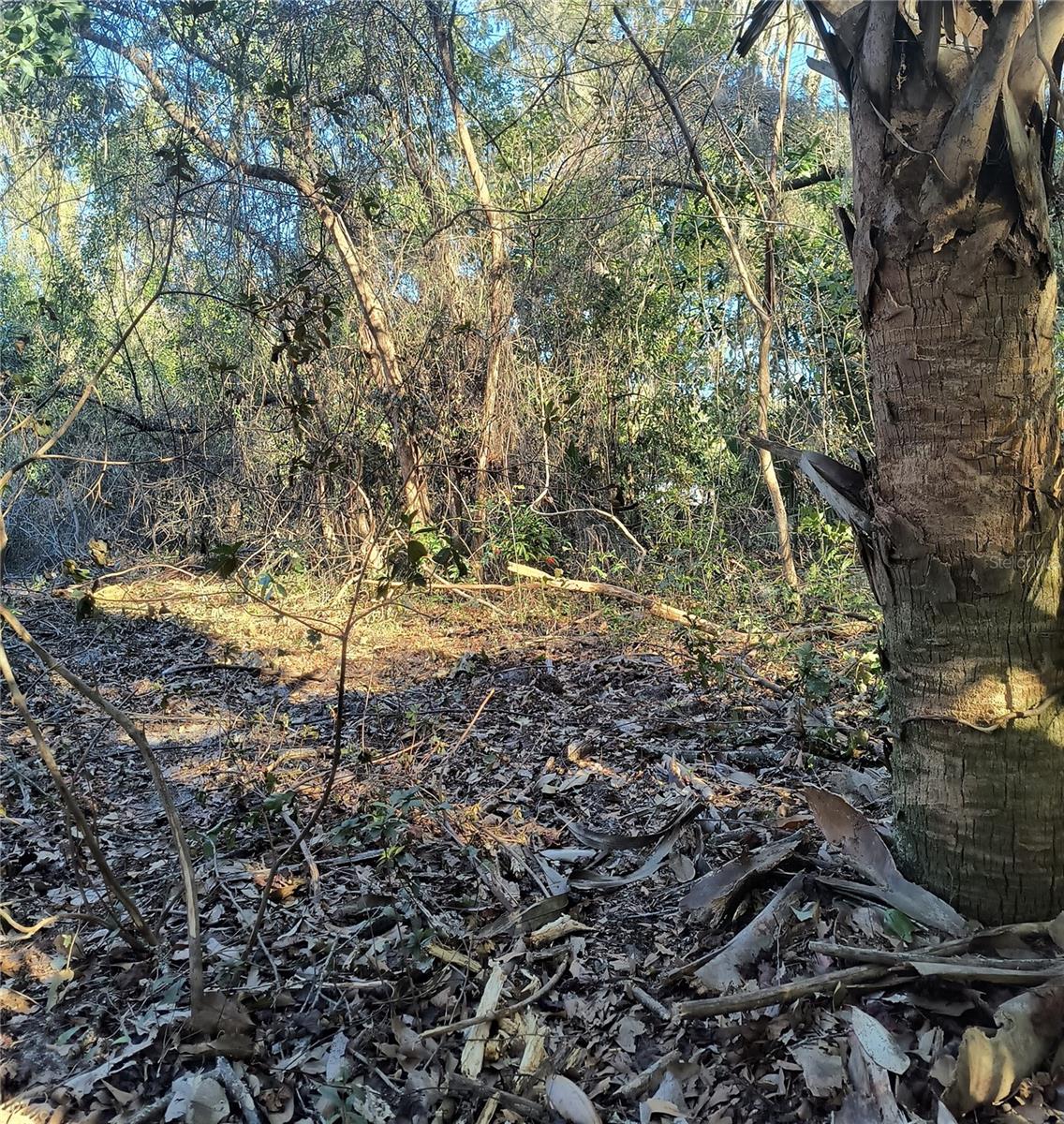 NEW GV T F THOMAS SUB - Land