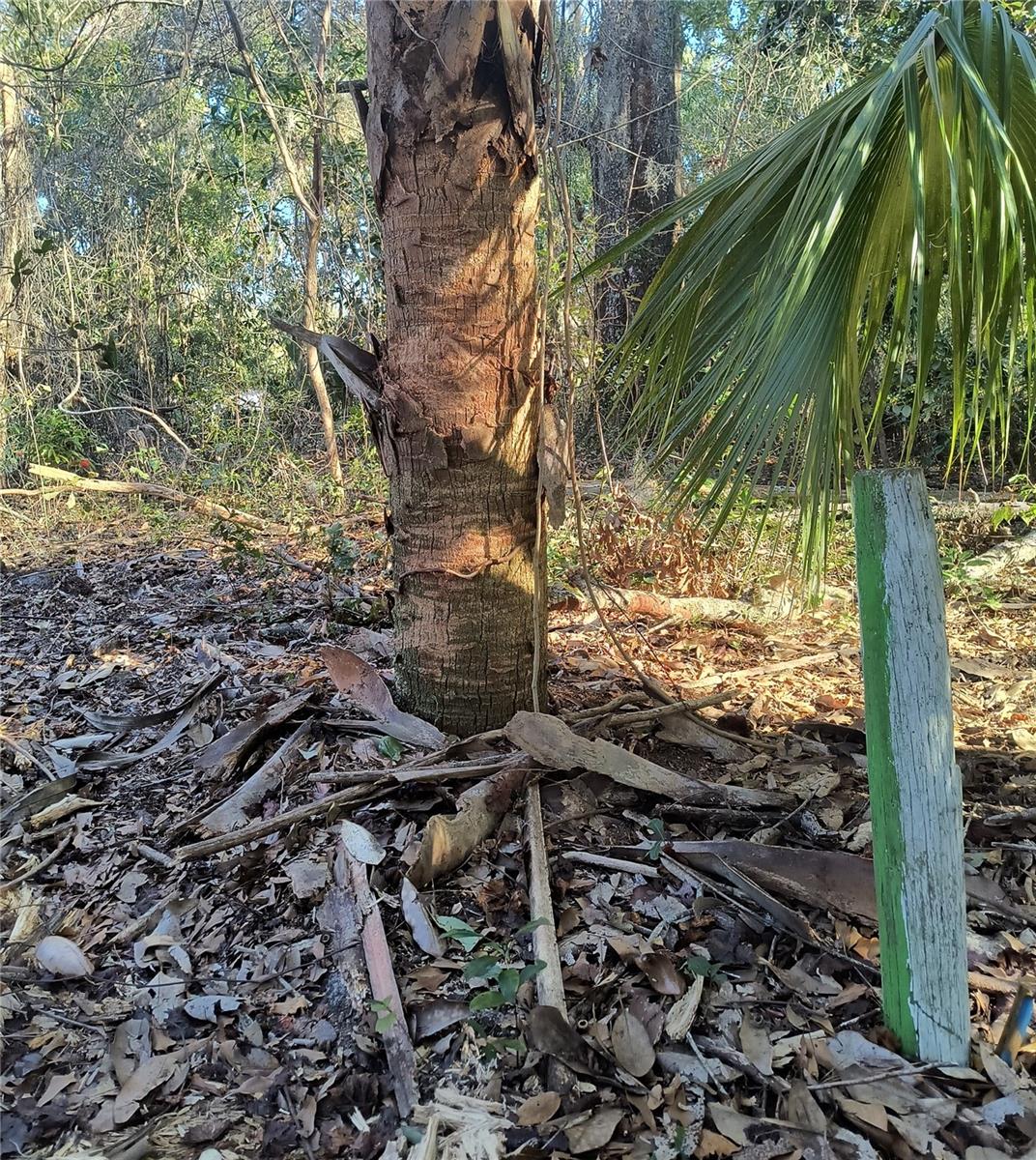 NEW GV T F THOMAS SUB - Land