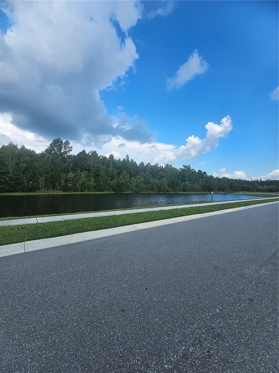 Photo of 1504 Fox Squirrel Drive, Davenport, FL 33897 (MLS # S5155732)
