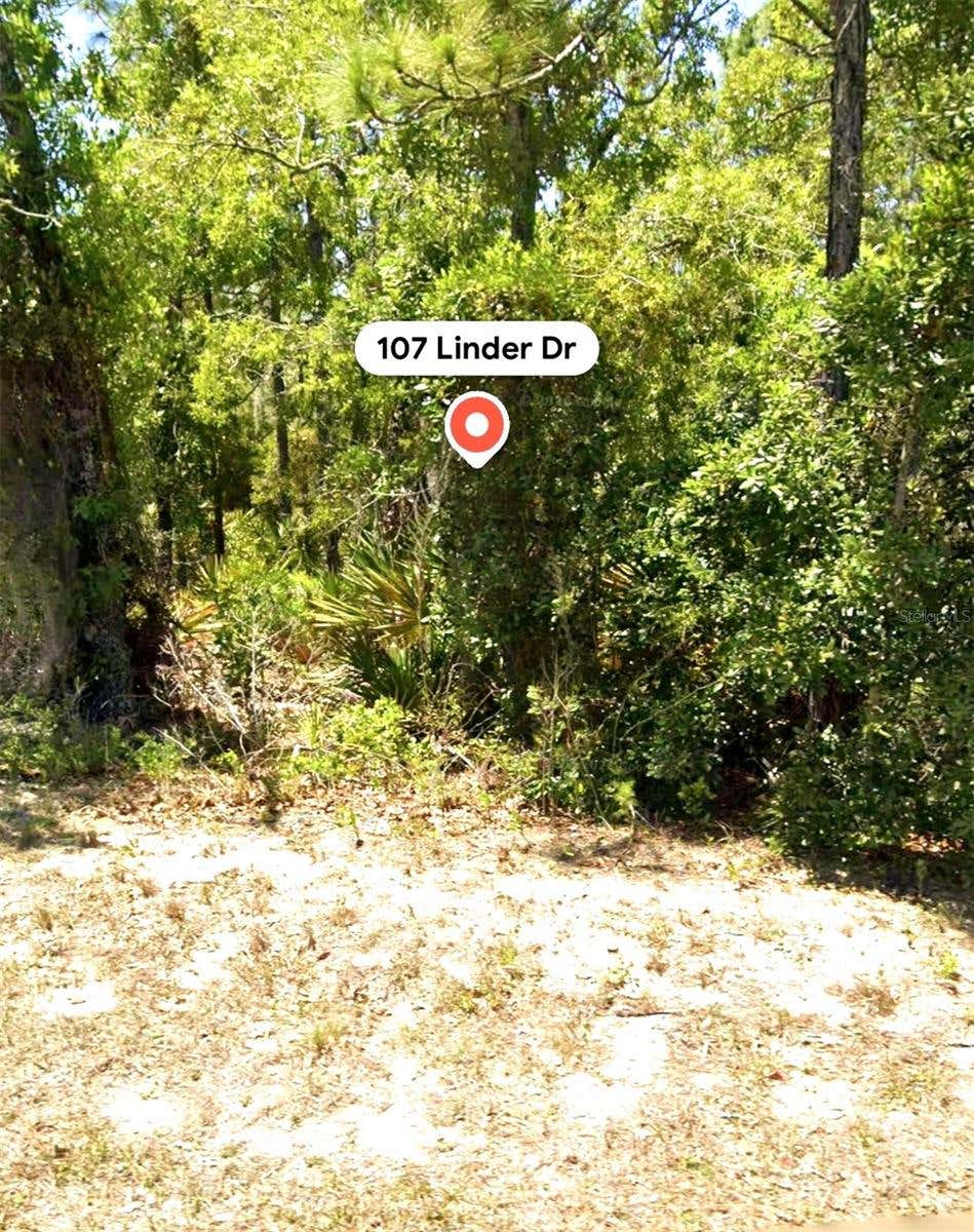 Photo of 107 Linder Drive, Homosassa, FL 34446 (MLS # W7887948)