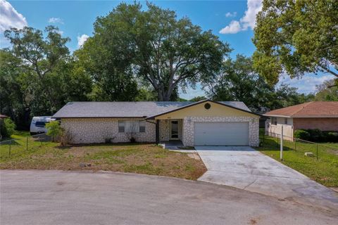Photo of 667 George Miller Circle, Port Orange, FL 32127 (MLS # V4948846)