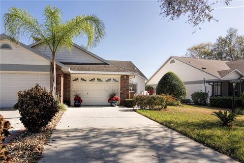 A home in ZEPHYRHILLS