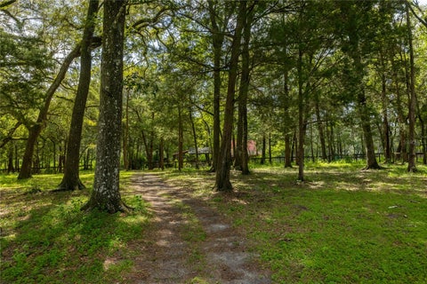 Tiny photo for 16350 NE 53rd Lane, Williston, FL 32696 (MLS # GC543091)