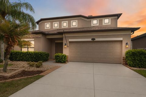Photo of 11415 Blue Crane Street, Riverview, FL 33569 (MLS # TB8517936)