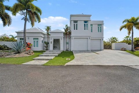 20 PASEO LAS PALMAS DORADO  00646