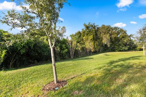 Tiny photo for 10478 Spring Lake Drive, Clermont, FL 34711 (MLS # O6360311)