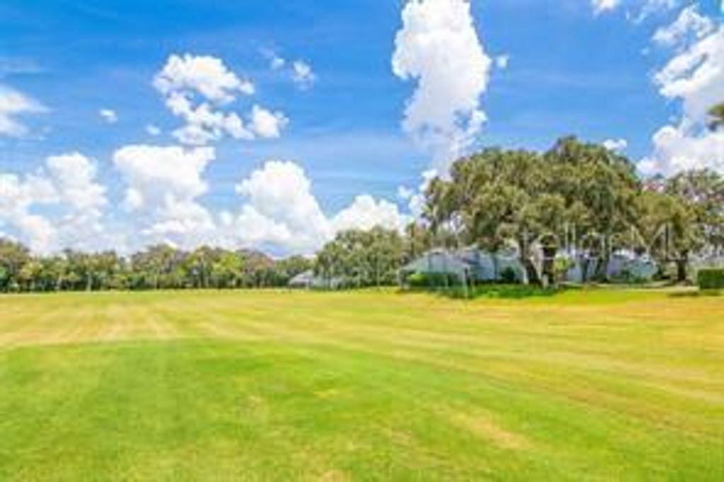 Photo of 315 Eagle Ridge Drive, Davenport, FL 33837 (MLS # O6384642)