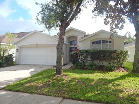 6519 BRIDGECREST DRIVE LITHIA FL 33547