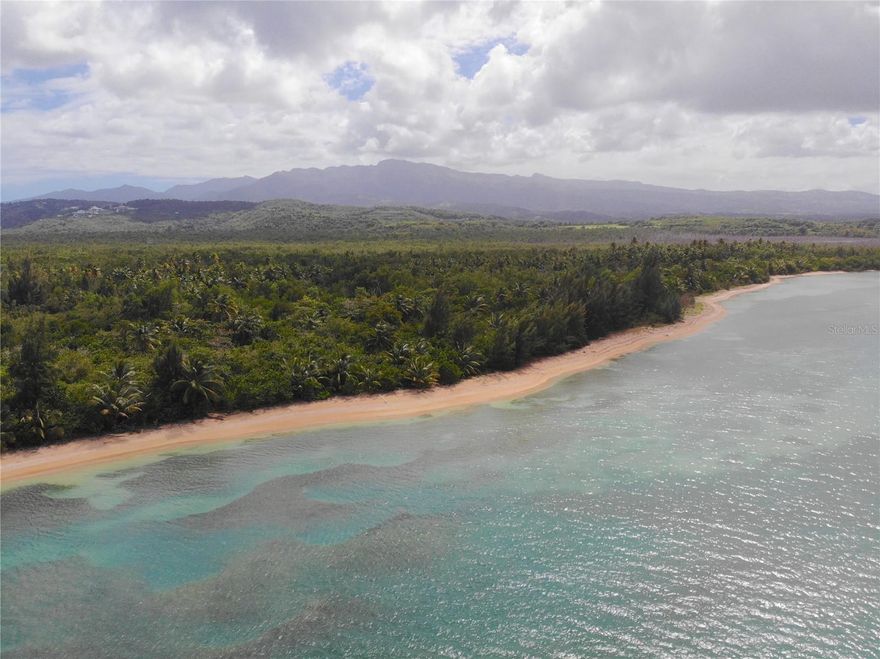 Discover an extraordinary opportunity to own a breathtaking beachfront property nestled in Las Picuas Peninsula, a nature preserve on the northeast coast of Puerto Rico. This prime location is rich in lush flora, vibrant fauna, and secluded beaches, offering a serene escape from everyday life.

Spanning approximately 125 acres across 5 adjacent parcels (each around 25 acres), this unique property is ideally situated, connecting to the renowned Coco Beach Grand Reserve to the south and in close proximity to the Hyatt Regency and Wyndham Grand Rio Mar Beach and Golf Resorts. The zoning classification includes CR, PR and B-Q. Imagine building your dream eco friendly home in this idyllic setting, where you can live peacefully under the Caribbean sun, surrounded by the beauty of nature. This property offers the perfect canvas for conservation purposes, ensuring a harmonious coexistence with the vibrant ecosystems that thrive here. Seize this rare opportunity to create your own private sanctuary by the beach, where every day feels like a vacation. Whether you envision a family retreat, a nature-loving residence, or an investment for future generations, this exceptional property awaits your vision.

For a private appointment and to explore this unique oasis, please call today!