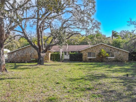 10100 GROVE DRIVE PORT RICHEY FL 34668