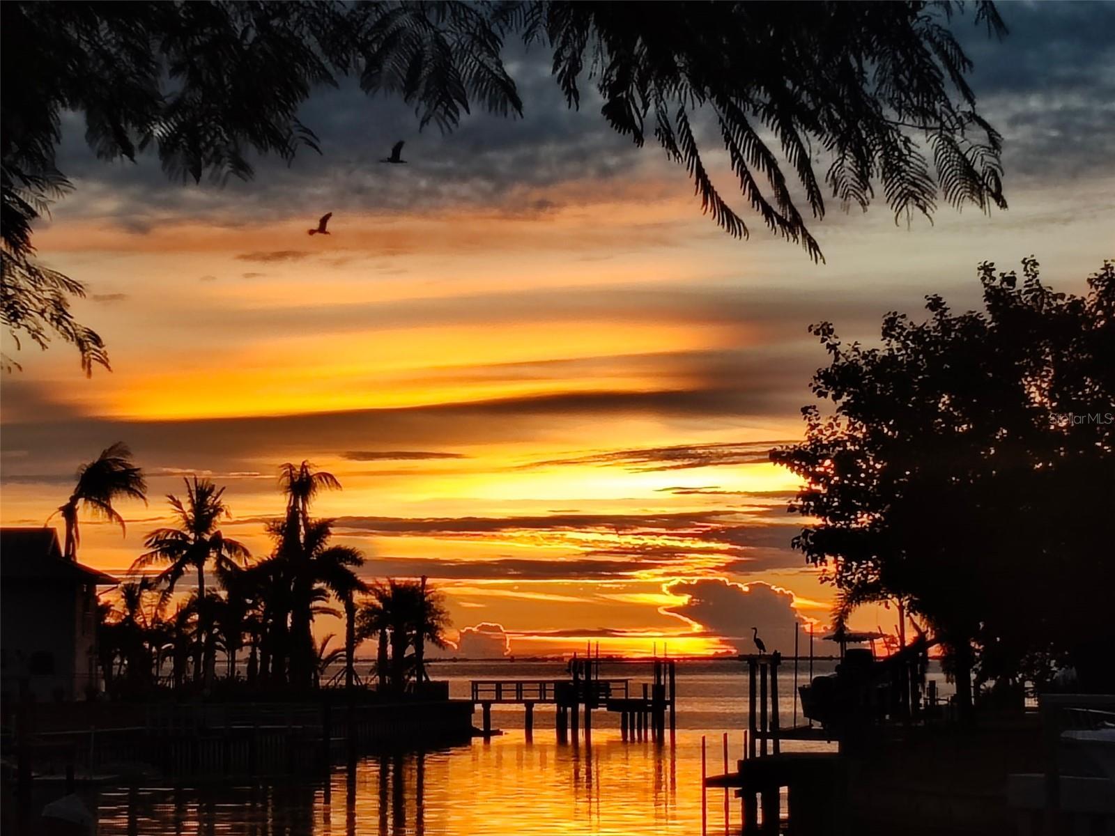 LEWIS ISLAND - Residential