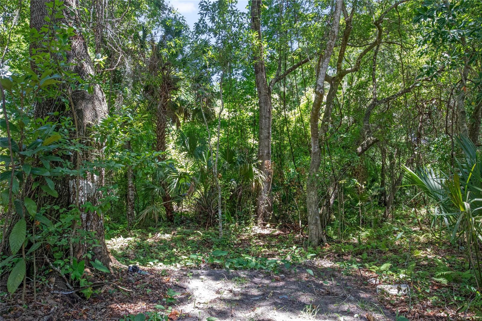 SMITH-FERNDALE SUB - Land