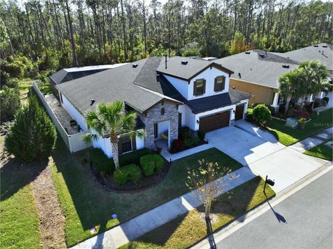 A home in LAND O LAKES