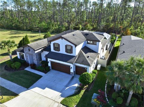 A home in LAND O LAKES