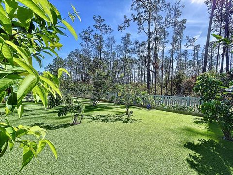 A home in LAND O LAKES