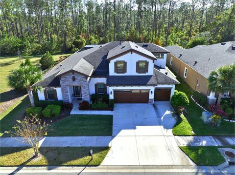 A home in LAND O LAKES