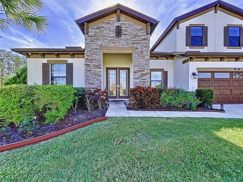 A home in LAND O LAKES