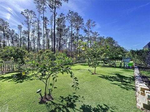 A home in LAND O LAKES