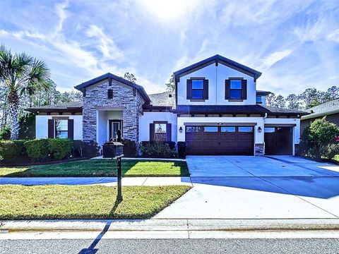 A home in LAND O LAKES