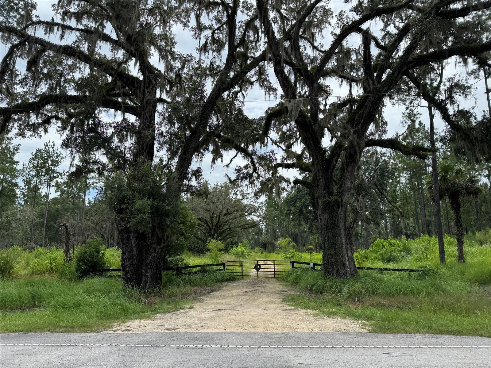 Burbank Tract Lot 2 is almost 20 ACRES (19.73 acres) of beautiful property on a paved road. Enjoy the perfect blend of seclusion and accessibility, located a short 10 mile drive from Ocala while surrounded by the serene beauty of previously managed forestland. This property is minutes from the Ocala National Forest, Ocklawaha River, and Silver Springs. There is a cleared homesite with a variety of oak trees and hardwoods, including two ponds and a road leading to the back of the property. No HOA or flood zone. Site built homes only. One storage container stays at the property There are many outdoor activities nearby including fishing, boating, kayaking, hiking, camping, ATV trails, and more! Great for outdoor enthusiasts and nature lovers alike! Use 10200 NE 90 St Rd if 9600 NE 90 St Rd doesn't show up in the GPS.