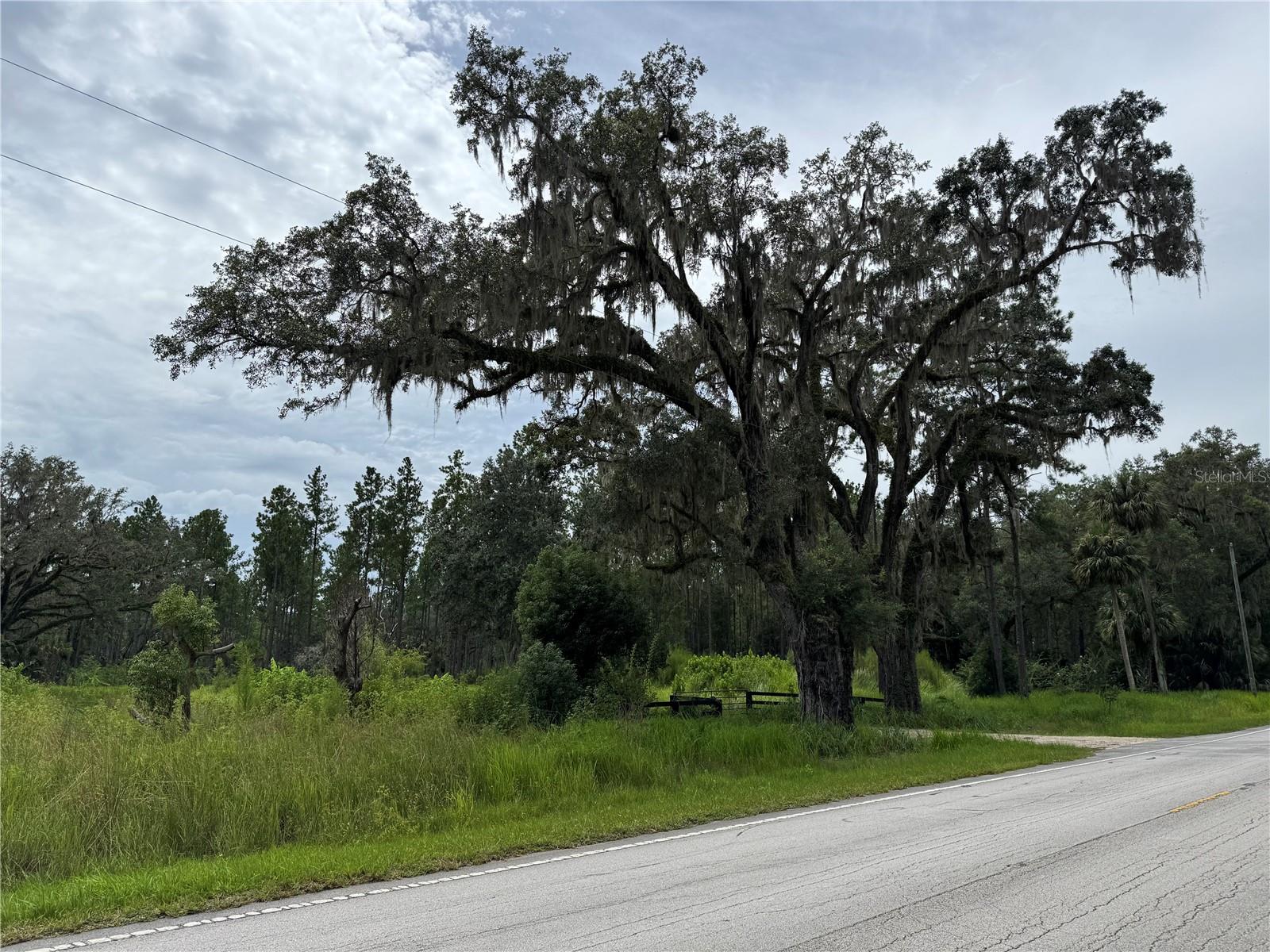 9600 NE 90TH STREET ROAD