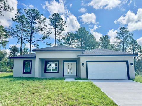 Photo of 8051 N Pinkinz Way, Citrus Springs, FL 34433 (MLS # O6319785)