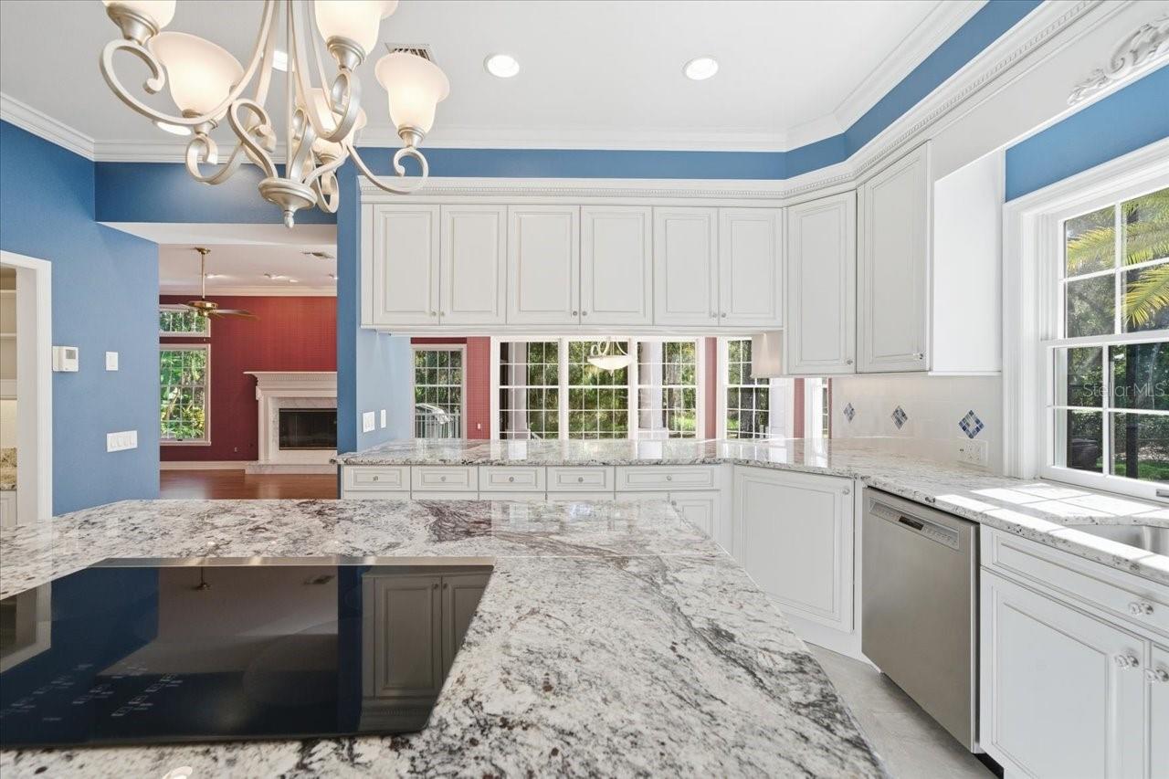 A REP OF TAMPA PALMS UNIT 1B - Residential