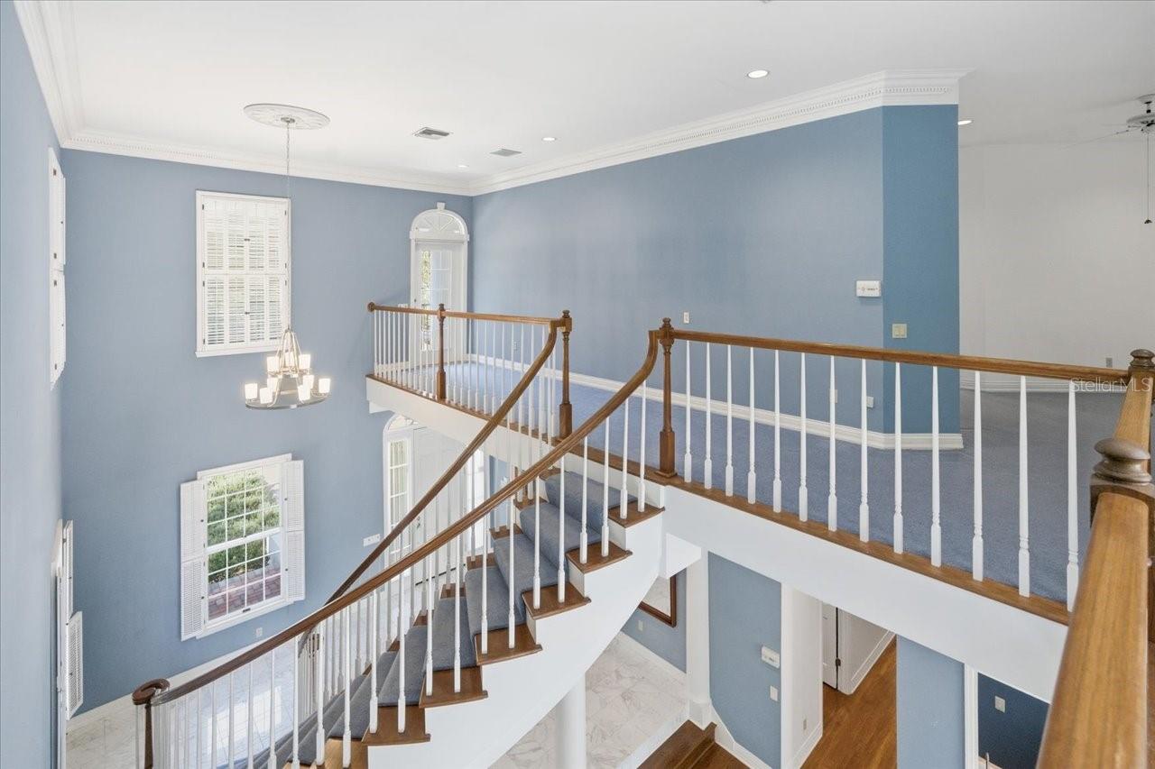 A REP OF TAMPA PALMS UNIT 1B - Residential