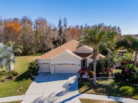 31230 ALCHESTER DRIVE WESLEY CHAPEL FL 33543