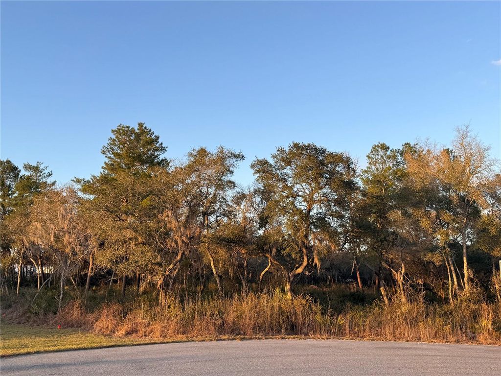 Photo of SW 98th Lane, Ocala, FL 34476 (MLS # OM720106)