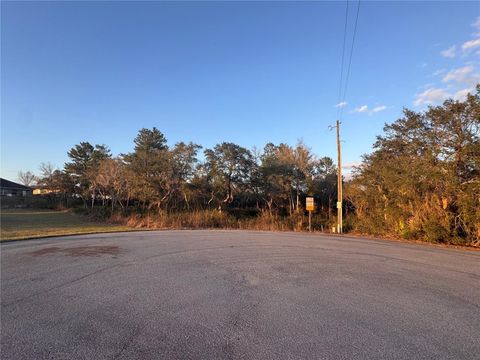 Tiny photo for SW 98th Lane, Ocala, FL 34476 (MLS # OM720106)