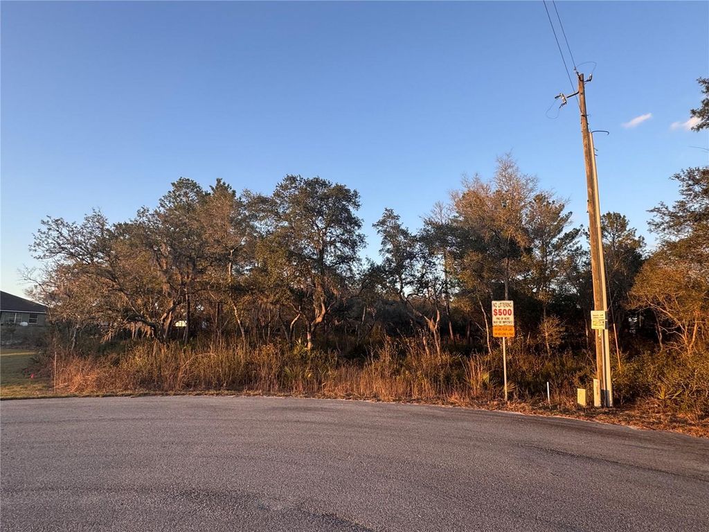 Photo of SW 98th Lane, Ocala, FL 34476 (MLS # OM720106)