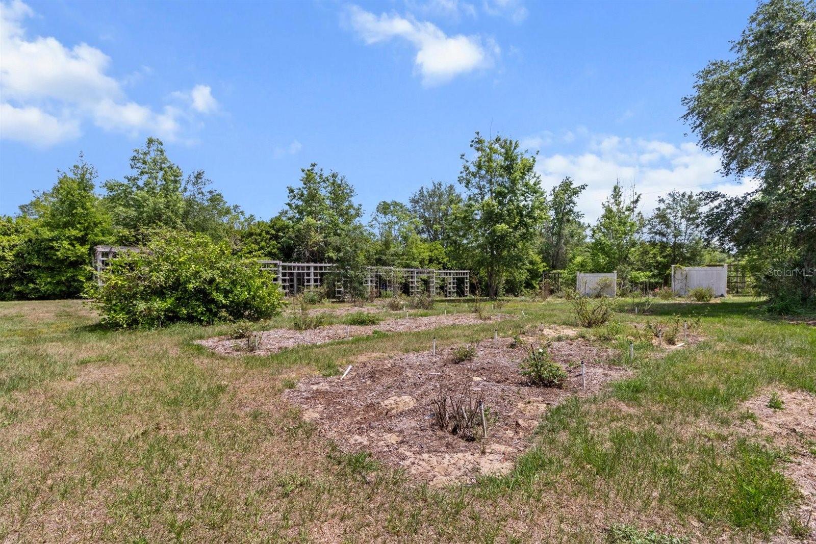 FOREST LAKE 6826 - Residential