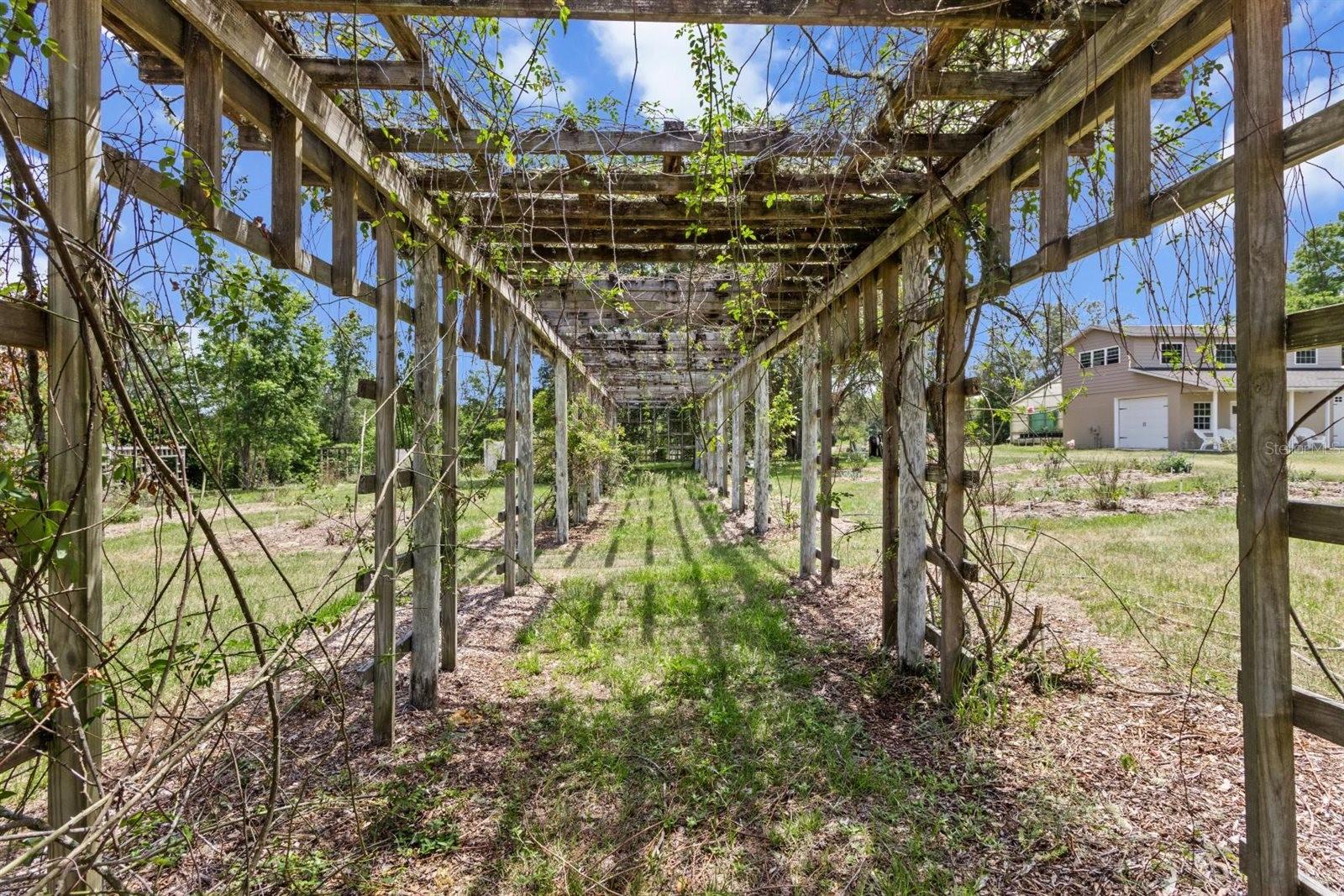 FOREST LAKE 6826 - Residential