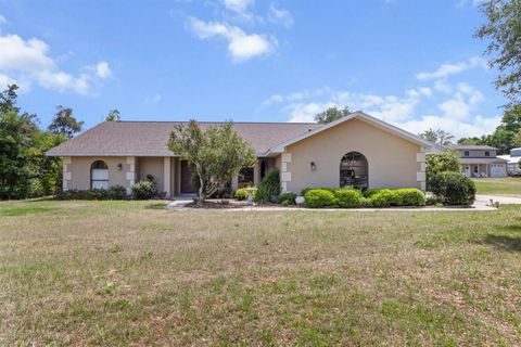 Photo of 7073 N Lecanto Highway, Hernando, FL 34442 (MLS # TB8377255)