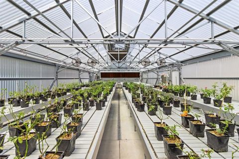 Tiny photo for 7073 N Lecanto Highway, Hernando, FL 34442 (MLS # TB8377255)