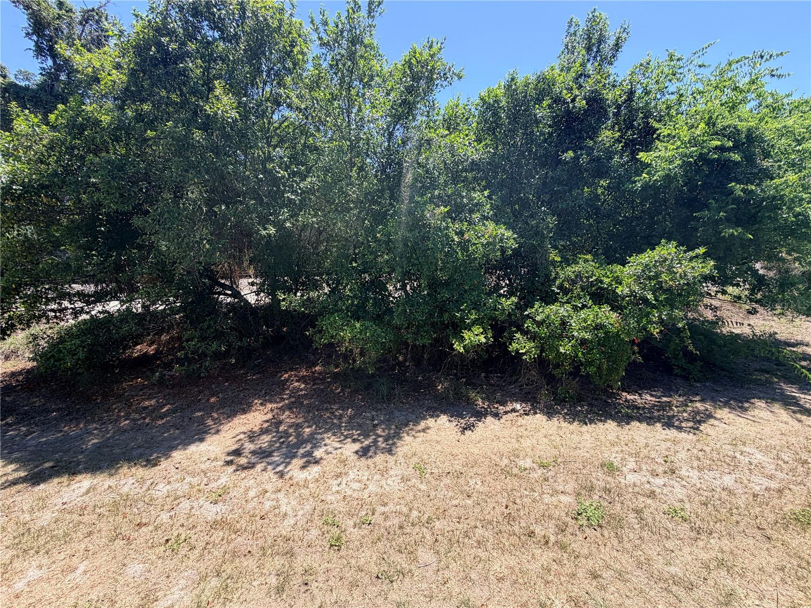 PLYMOUTH HEIGHTS - Residential