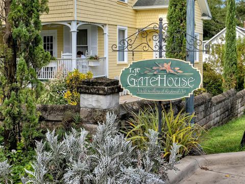 A home in MOUNT DORA