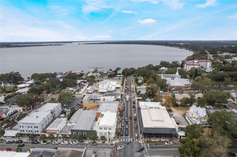 A home in MOUNT DORA