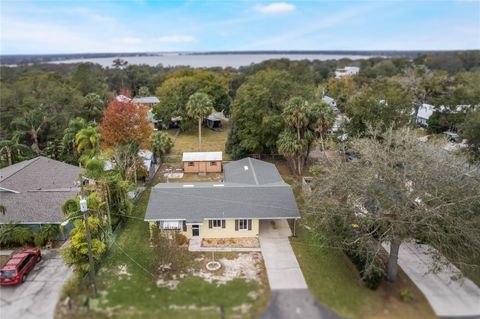 A home in MOUNT DORA