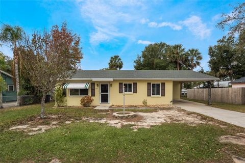 A home in MOUNT DORA