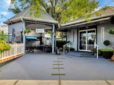 A home in MOUNT DORA