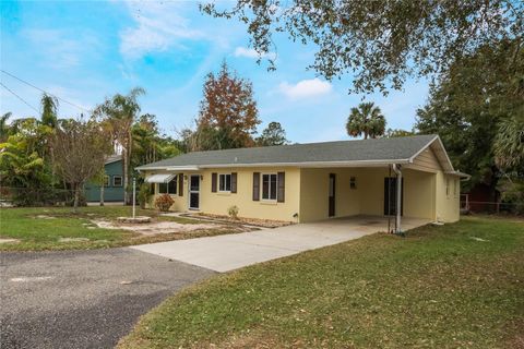 A home in MOUNT DORA