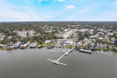 A home in MOUNT DORA